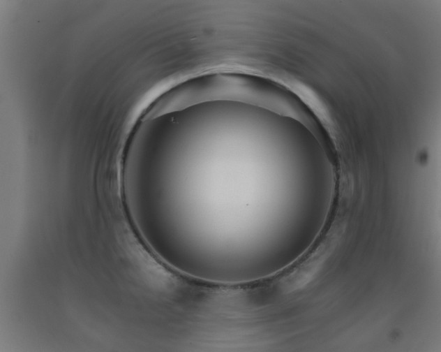X0000093151238200709261438
