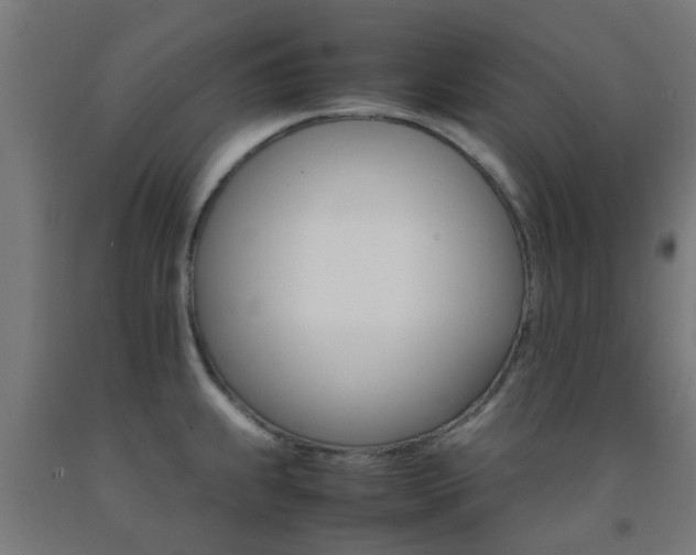 X0000093151239200709261438