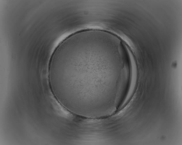 X0000093151240200709261438