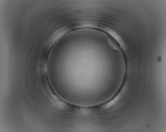 X0000093151241200709261438