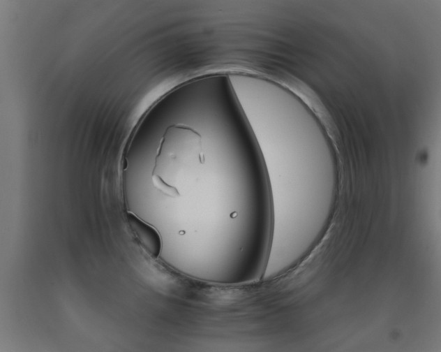 X0000093151242200709261438