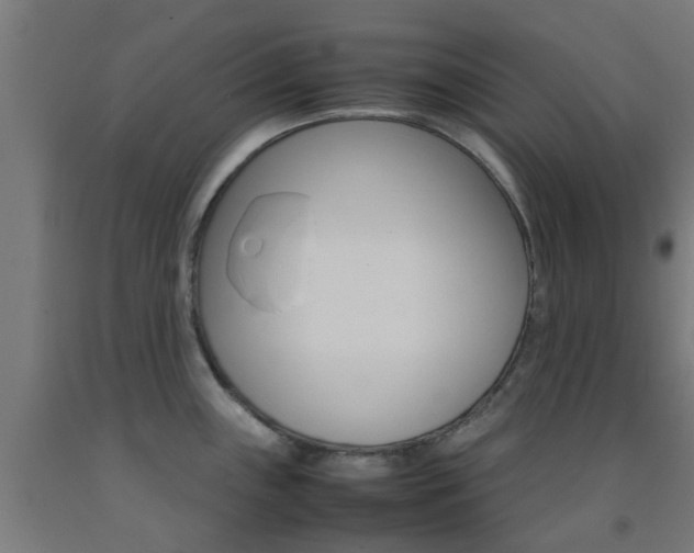 X0000093151243200709261438