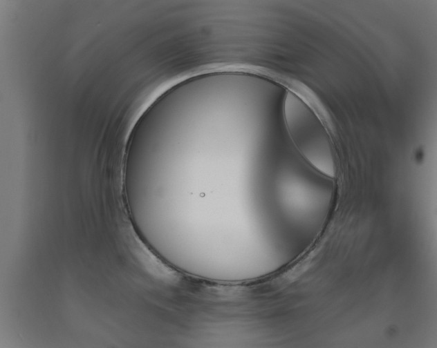 X0000093151244200709261438