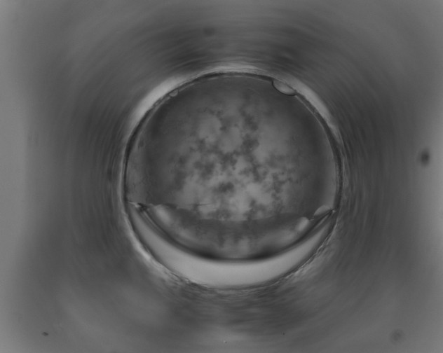 X0000093151245200709261438