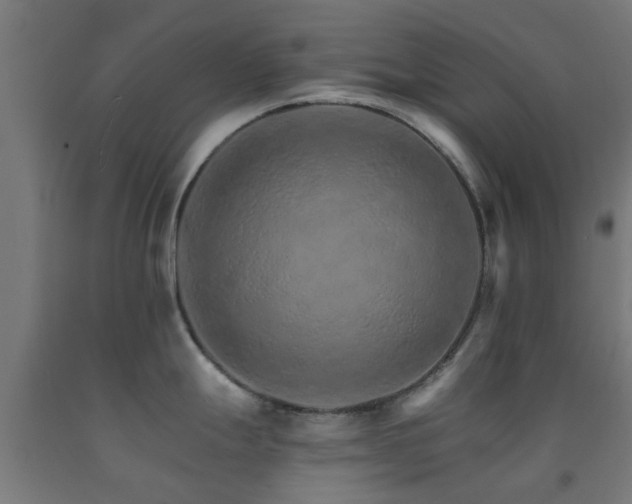 X0000093151247200709261438