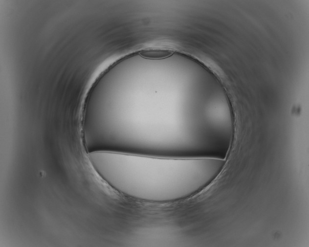 X0000093151248200709261438