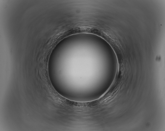 X0000093151249200709261438