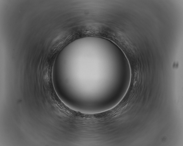 X0000093151250200709261438