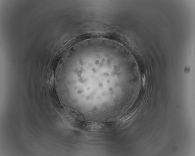 X0000093151251200709261438