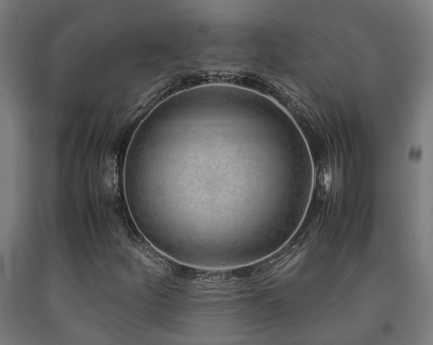 X0000093151252200709261438