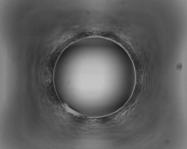 X0000093151253200709261438
