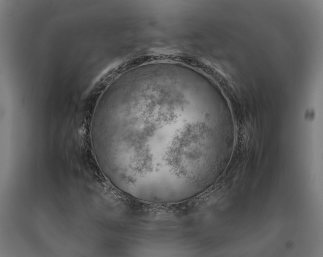 X0000093151254200709261438