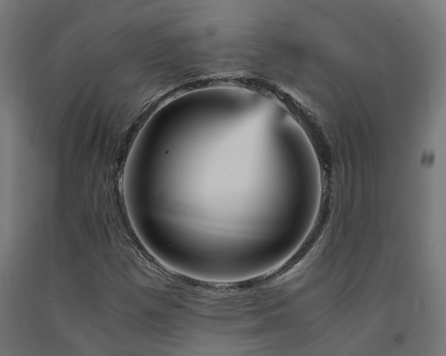 X0000093151257200709261438