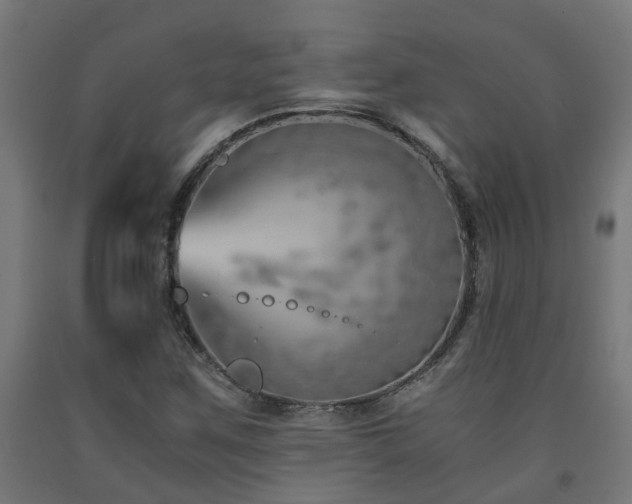 X0000093151259200709261438