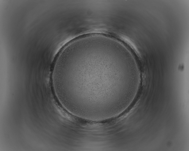 X0000093151260200709261438