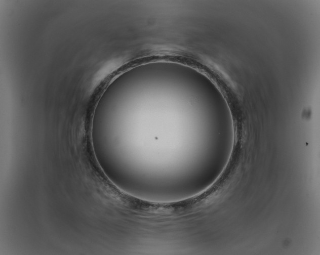 X0000093151261200709261438