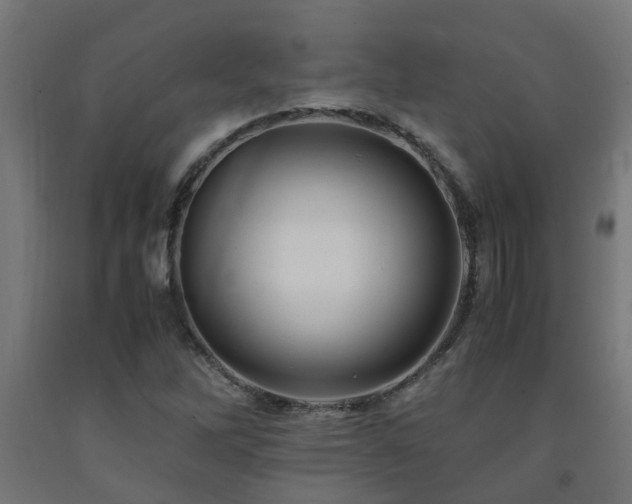 X0000093151262200709261438