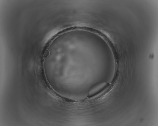 X0000093151263200709261438