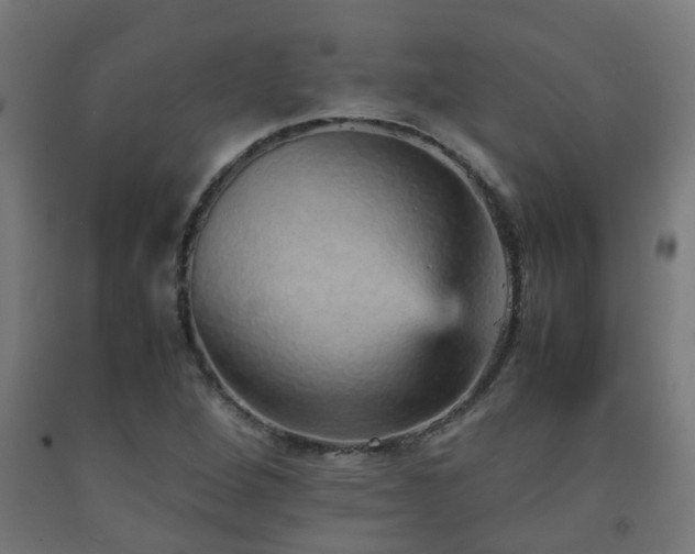 X0000093151264200709261438