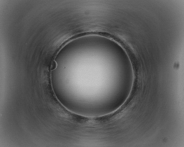 X0000093151265200709261438