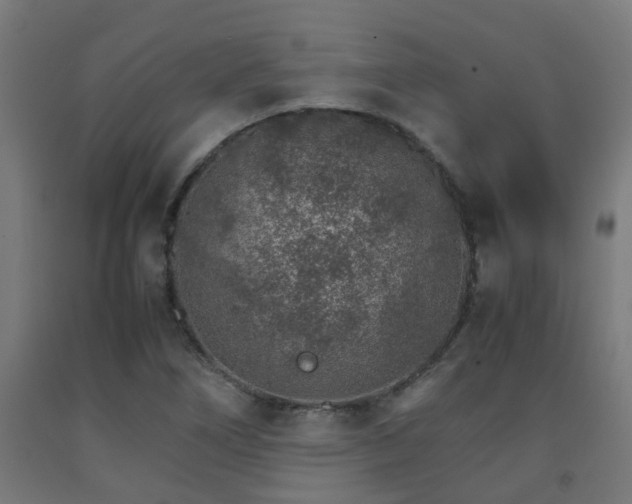 X0000093151266200709261437