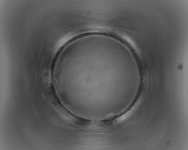 X0000093151267200709261437