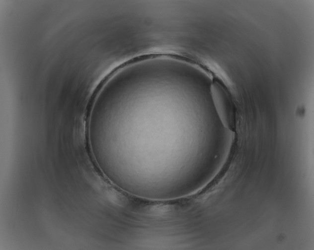 X0000093151268200709261437