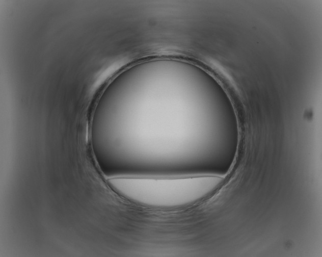 X0000093151269200709261437