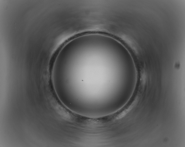 X0000093151270200709261437