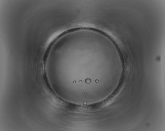 X0000093151271200709261437