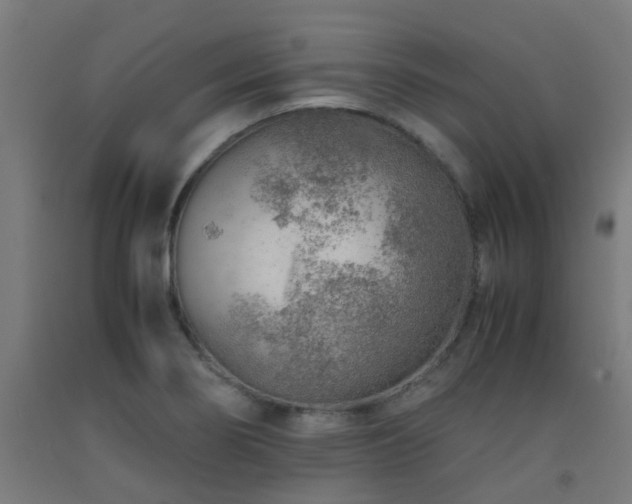 X0000093151274200709261437