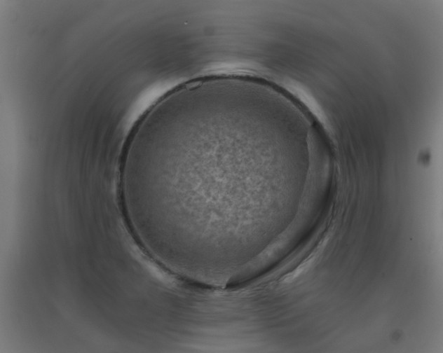 X0000093151277200709261437