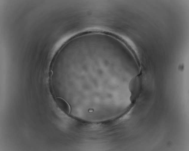 X0000093151279200709261437