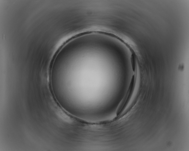 X0000093151280200709261437