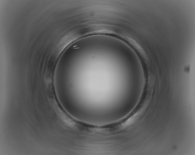 X0000093151281200709261437