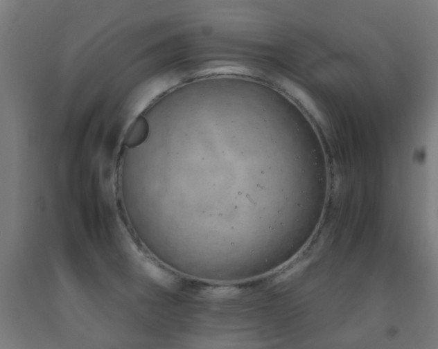 X0000093151282200709261437