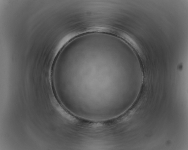 X0000093151283200709261437
