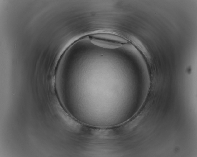 X0000093151284200709261437