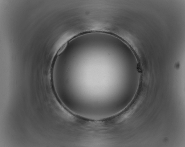 X0000093151285200709261437