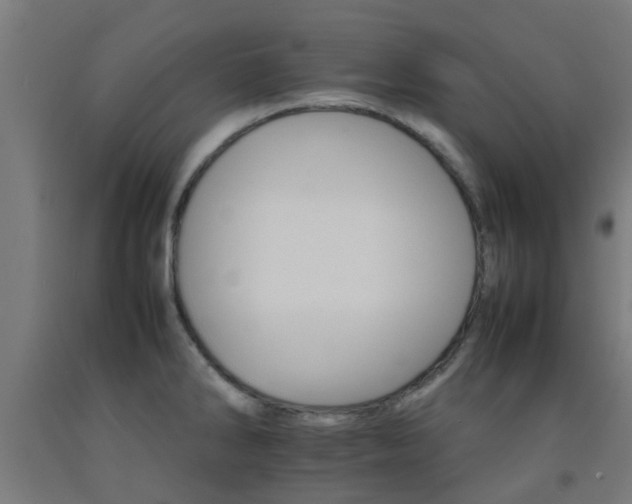 X0000093151286200709261437