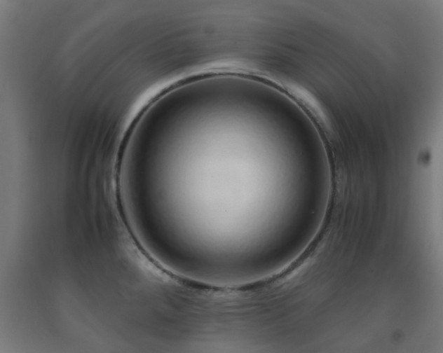 X0000093151288200709261437