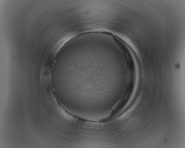 X0000093151289200709261437