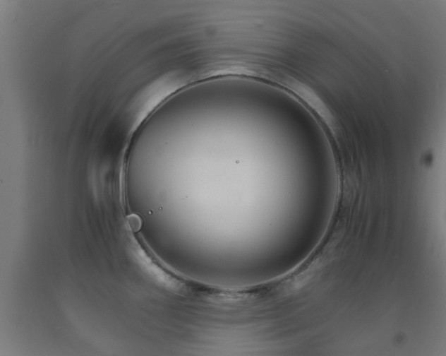 X0000093151290200709261437