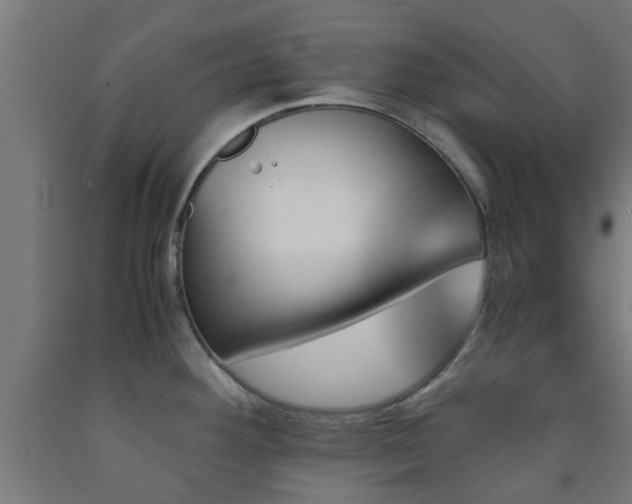 X0000093151292200709261437