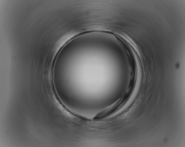 X0000093151293200709261437