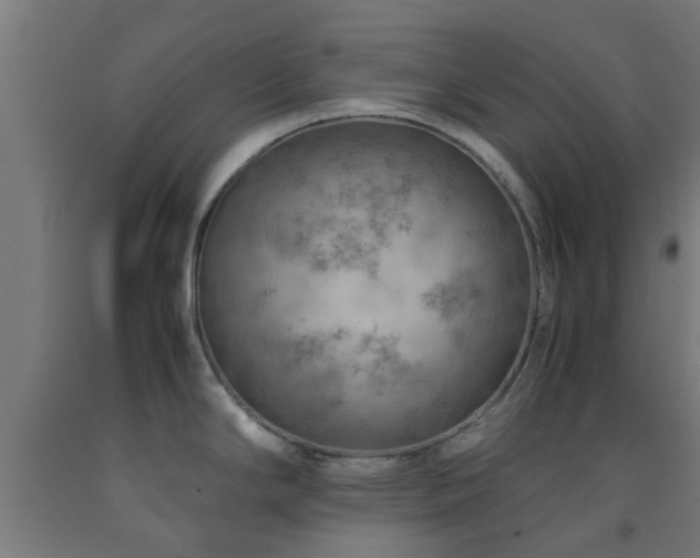 X0000093151294200709261437