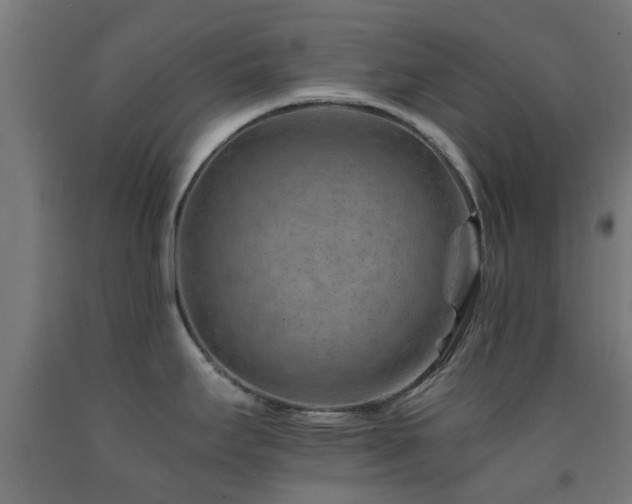 X0000093151295200709261437