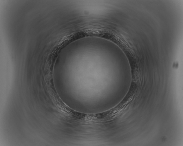X0000093151297200709261437