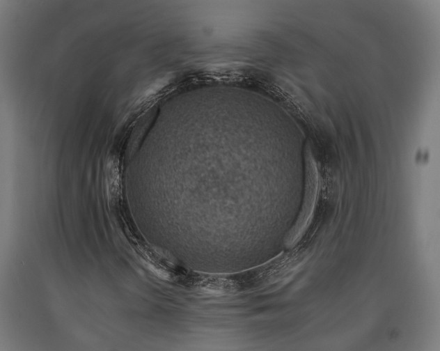 X0000093151298200709261437