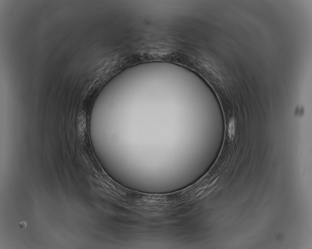 X0000093151299200709261437
